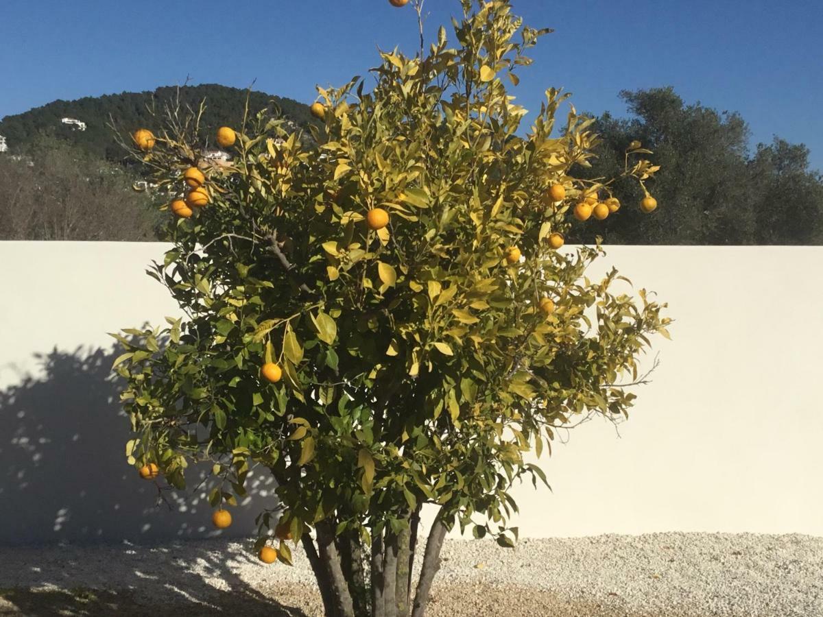 Casita In Javea With Garden And Pool - Dog Friendly! Bagian luar foto